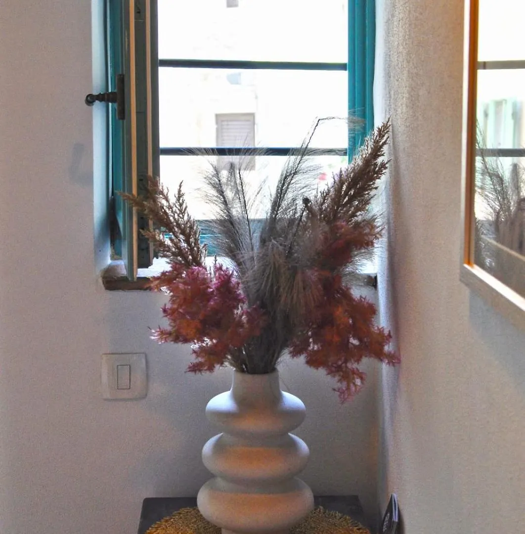 Apartment Delight City Rovinj 0*,